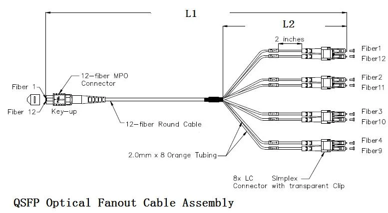MPO Harness &amp; Fan out Cable Assemblies