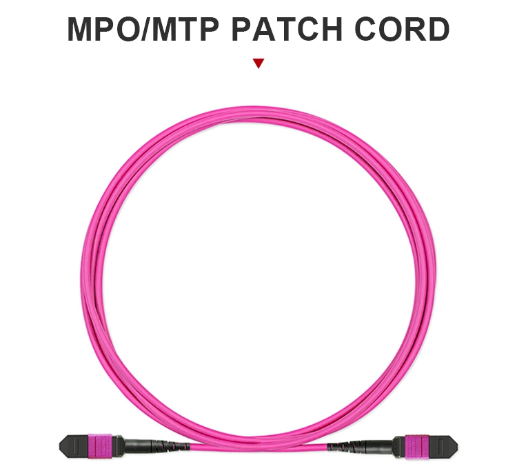 OEM Manufacturer Supply Good Price MTP MPO Fiber Optic Patch Cord for Joint Box
