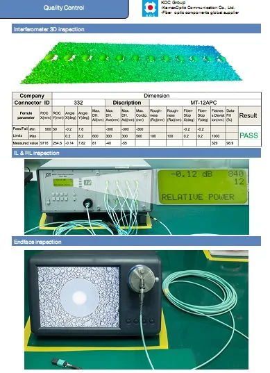 Fiber Optical Assembly with Different Fiber