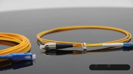 12 Cores Ribbon Fiber Optic Pigtail with Sc/APC Sm Connectors From From China Manufacturer