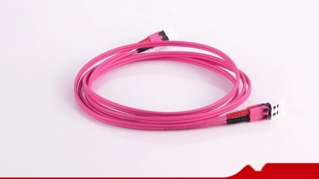 Fiber Optic Patch Cord Cat5e/CAT6 UTP Ethernet Simplex/Duplex RJ45 Rj11 Cpri Drop Sc/LC/FC/St/MPO/Mu/MTRJ/E2000 Patch Cable